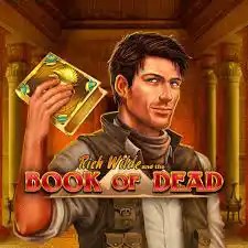Book of Dead online game logo by Play'n GO on leoncasino-gr.com.gr